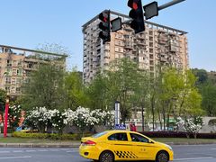 -大龙山(地铁站)