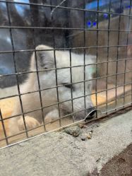 -酷嗒动物文化乐园(cutezoo西溪乐天城店)