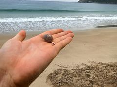 -西涌国际滨海旅游区