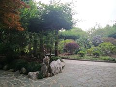 -南翔镇银翔湖公园