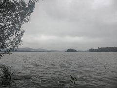 -长广溪湿地公园