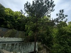 -道教老君洞