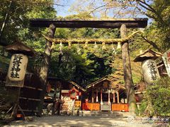 -野宫神社