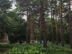 -黑龙江省森林植物园