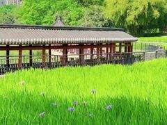 -龙头寺公园