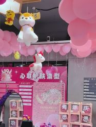-心联形象设计·流星染