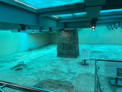 -南越王博物院(王宫展区)