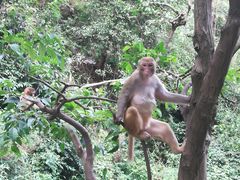 -黔灵山公园-南门售票处