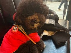 -友坐OMNI(民园广场店)