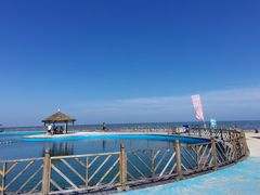 -日照海滨国家森林公园