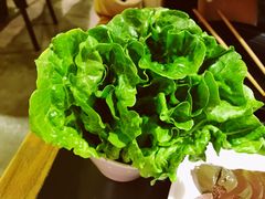鲜生菜-红钳侠小龙虾·烧烤(中赢康康谷店)