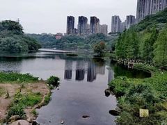 -重庆彩云湖湿地公园