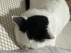 -贝利宠物医院·骨科·眼科·肿瘤转诊中心(南坪诊疗中心)