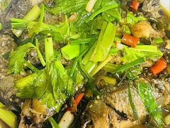 家常鲫鱼-陈有良尖椒鸡(江津总店)