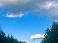 -空中草原