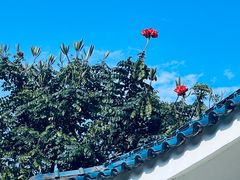 -厦门悦华酒店