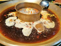 -杨家火锅(国美店)