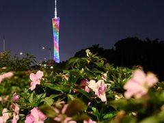 -广州塔