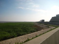 -南汇嘴观海公园