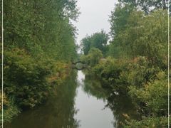 -合肥滨湖国家森林公园