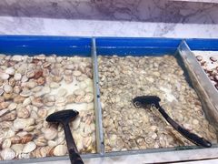 -火锅岛潮牌自助餐厅(天津天佑城店)