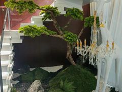 -古莲·影院足道·按摩SPA(水上温泉店)