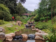-云溪植物园