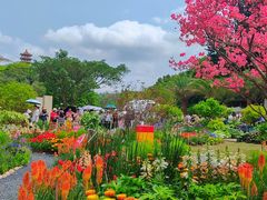 -深圳仙湖植物园