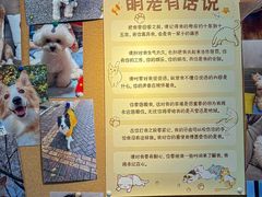 -翊宠yipet猫狗购宠庄园犬舍•猫舍