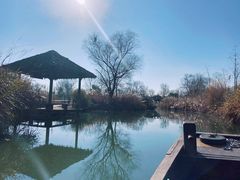 -西溪国家湿地公园