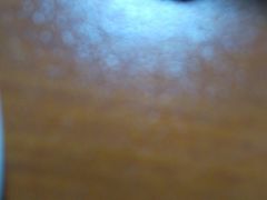 -刘一锅筋头巴脑(新民街店)