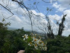 -海口火山口国家地质公园