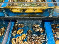 -天虹购物中心(深圳龙华店)