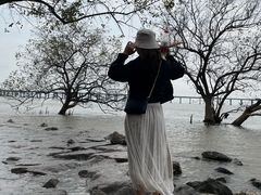 -宝安西湾红树林湿地公园