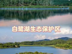 -美的鹭湖森林度假区
