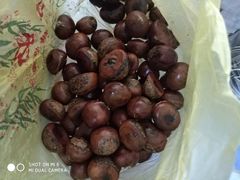 -好好栗子店(海宁总店)
