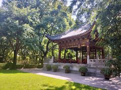 -汇龙潭