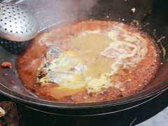 -肥鱼屯活鱼锅(惠工街店)
