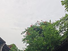 -鲤院·新中式美学·庭院餐厅(夫子庙店)