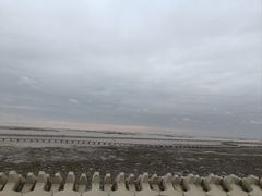 -南汇嘴观海公园