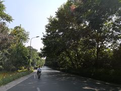 -西湖风景区-江洋畈生态公园