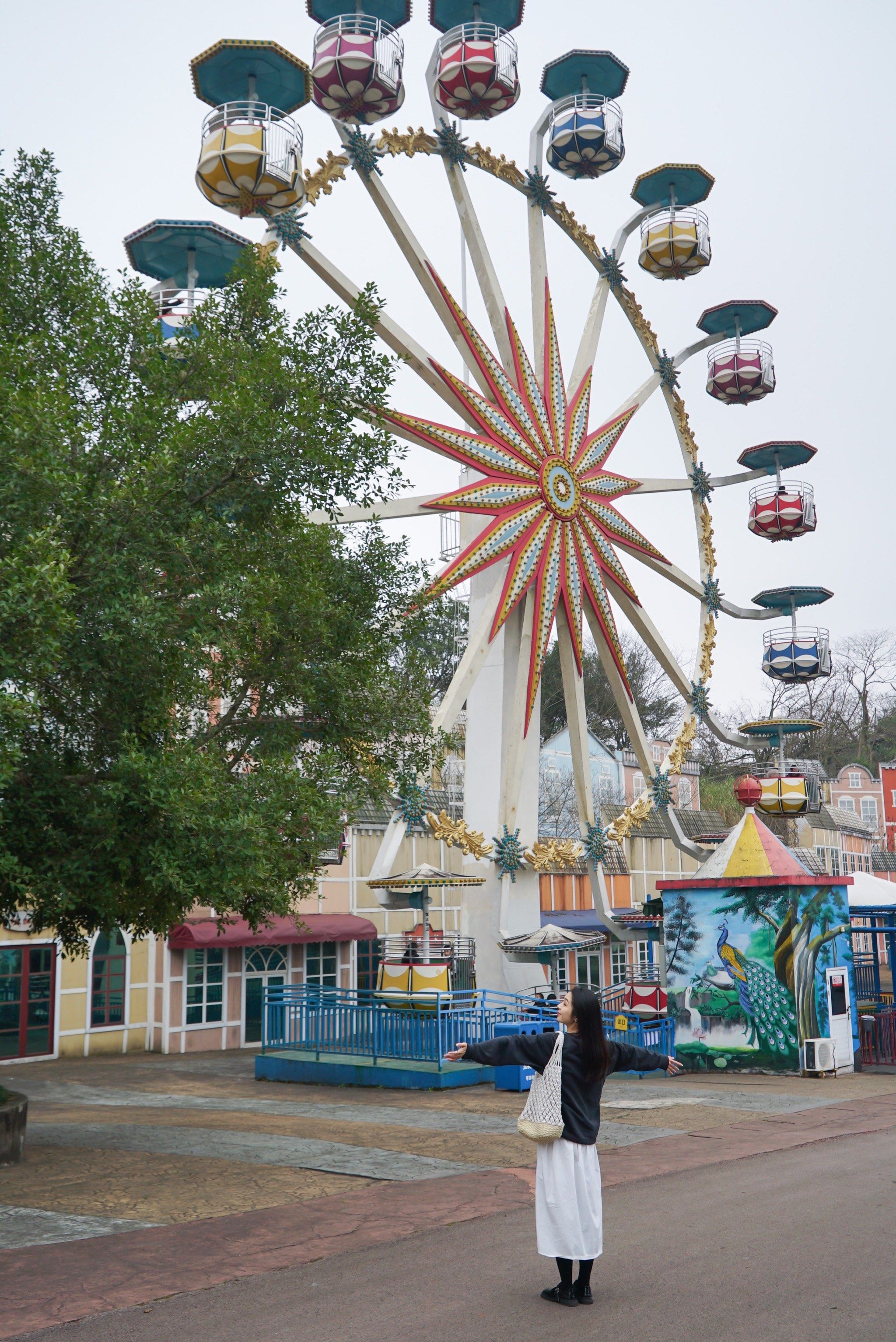 春节来乐和乐都看四只可可爱爱的国宝啦