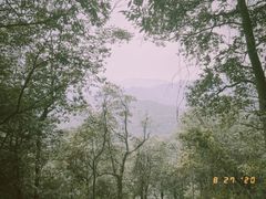 -云栖竹径