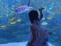 -海合安成都极地海洋公园