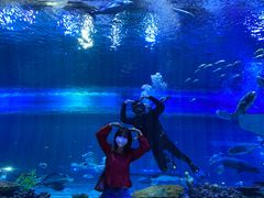 -华夏文旅海洋公园