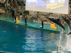 -威海华夏城景区