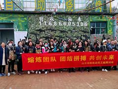 -南山特攻真人CS户外露营轰趴拓展基地