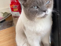 -猫小院猫主题餐厅(南锣旗舰店)