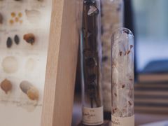 -二酉书店TOYOU BOOKS