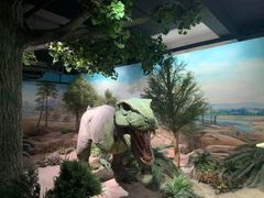 -国家自然博物馆